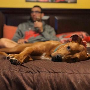 Meet your Posher, Patrick